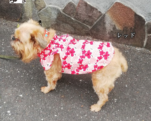 涼しい・浴衣生地・レッド花柄ふんわりフレンチスリーブワンピ犬