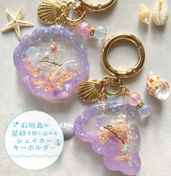 貝殻 いるか シェイカーキーホルダー 星砂 シャカシャカ