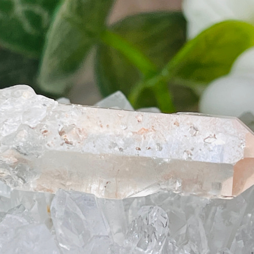 星の種✴︎ ピンクレムリアン スターシードクリスタル グリフ マスター