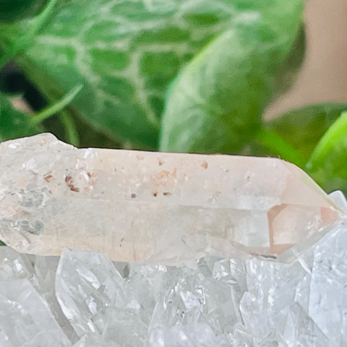 星の種✴︎ ピンクレムリアン スターシードクリスタル グリフ マスター