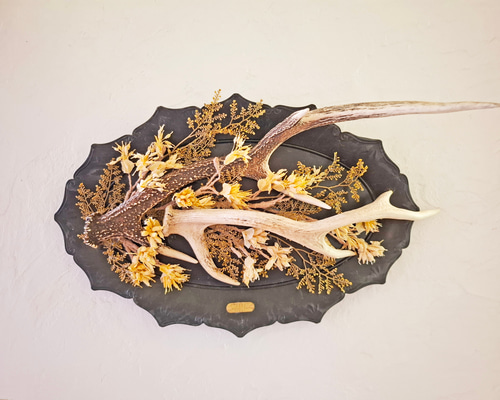 「森の守護」リアル鹿角アートスカル｜風水×アート×自然のエネルギー 森の守護」リアル鹿角アートスカル｜風水×アート×自然のエネルギー 鹿