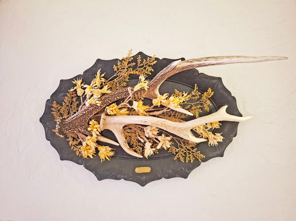 木のオブジェ　アート 鹿角アート 【 暁 / あかつき 】壁面オブジェ 立体・オブジェ