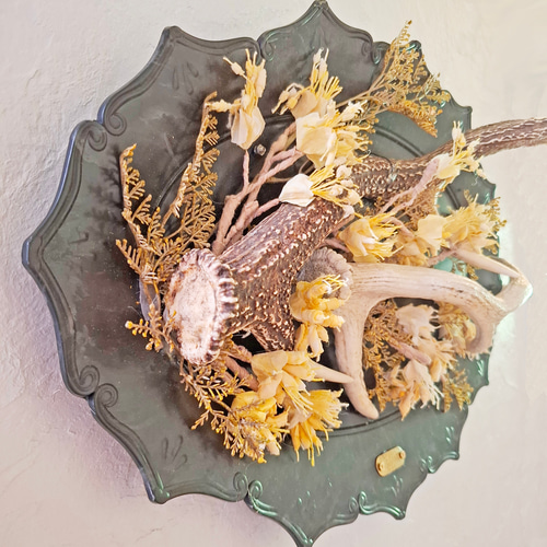 鹿角アート 【 暁 / あかつき 】壁面オブジェ 立体・オブジェ