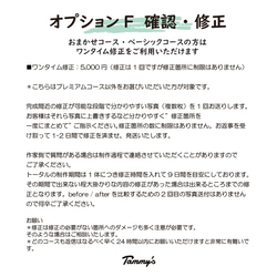 うちの子オーダー2025【ベーシックコース：オーダーメイド羊毛フェルト 猫 犬】ペットメモリアル2025 17枚目の画像