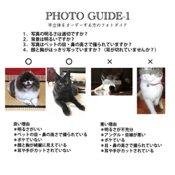 うちの子オーダー2025【ベーシックコース：オーダーメイド羊毛フェルト 猫 犬】ペットメモリアル2025 11枚目の画像