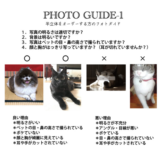 うちの子オーダー2025【ベーシックコース：オーダーメイド羊毛フェルト 猫 犬】ペットメモリアル2025 11枚目の画像