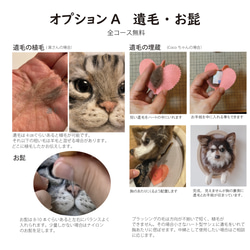 うちの子オーダー2025【ベーシックコース：オーダーメイド羊毛フェルト 猫 犬】ペットメモリアル2025 15枚目の画像