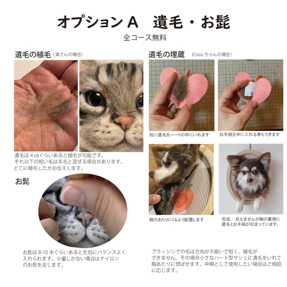 うちの子オーダー2025【ベーシックコース：オーダーメイド羊毛フェルト 猫 犬】ペットメモリアル2025 15枚目の画像