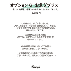 うちの子オーダー2025【ベーシックコース：オーダーメイド羊毛フェルト 猫 犬】ペットメモリアル2025 16枚目の画像