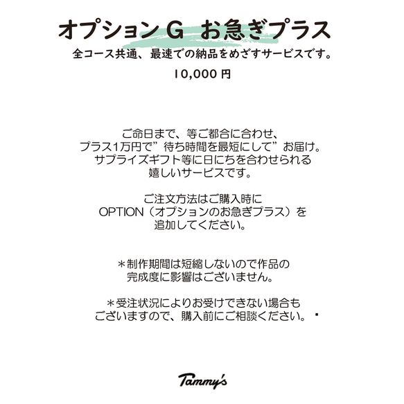 うちの子オーダー2025【ベーシックコース：オーダーメイド羊毛フェルト 猫 犬】ペットメモリアル2025 16枚目の画像