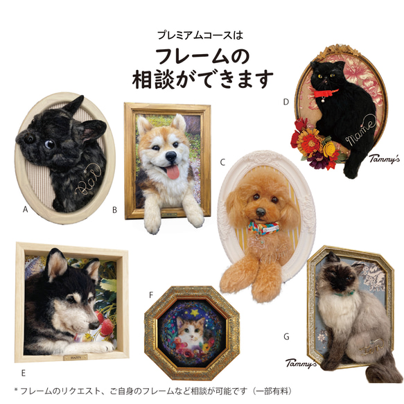 うちの子オーダー2025【プレミアムコース：オーダーメイド　羊毛フェルト 猫 犬】 6枚目の画像