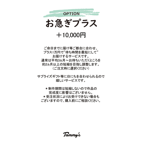 うちの子オーダー2025【プレミアムコース：オーダーメイド　羊毛フェルト 猫 犬】 11枚目の画像