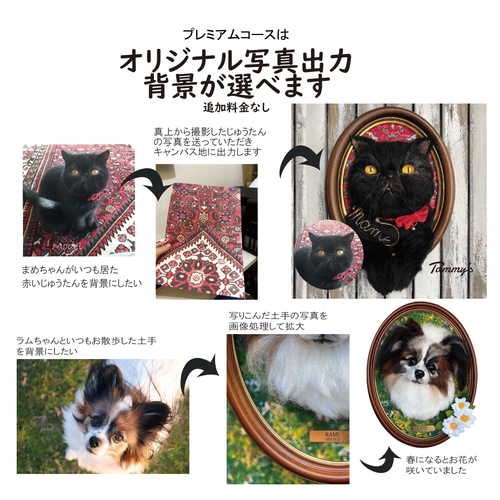 ＊羊毛フェルト＊うちの子オーダー　みーこ様 羊毛フェルト オーダーいただいた子達のご紹介です*(^o