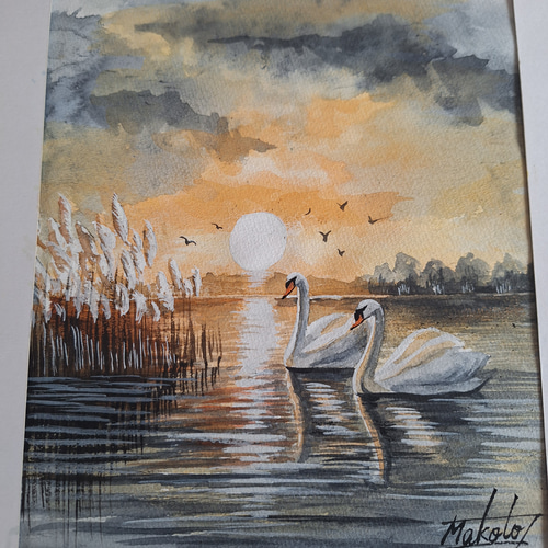 水彩画 夕陽に染まる白鳥 絵画 makochin 通販 19329121｜Creema