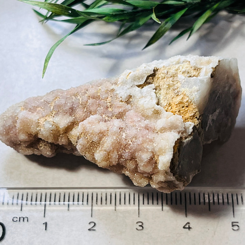 精霊を呼ぶ石✨ 変種 カクタスアメジスト サボテン水晶 ラフストーン