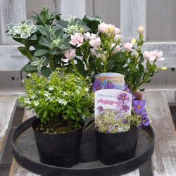 d05404eb9f3ca68245d4ae636cc22f