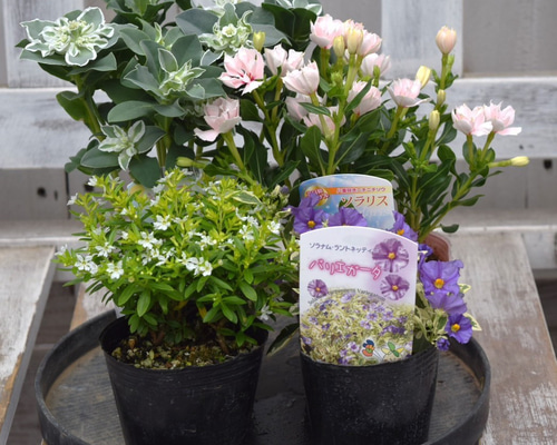 d05404eb9f3ca68245d4ae636cc22f