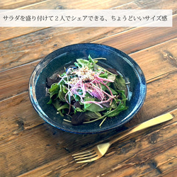 カレー皿 22cm 深皿 7color /r165 13枚目の画像