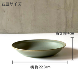 カレー皿 22cm 深皿 7color /r165 9枚目の画像