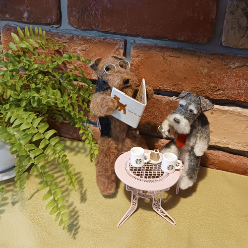 羊毛わんこ@カフェ(エアデールテリア&シュナウザー) 羊毛フェルト お