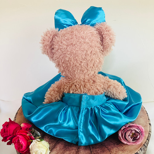 シェリーメイ コスチューム シェリーメイコスチューム エルサ アナ雪