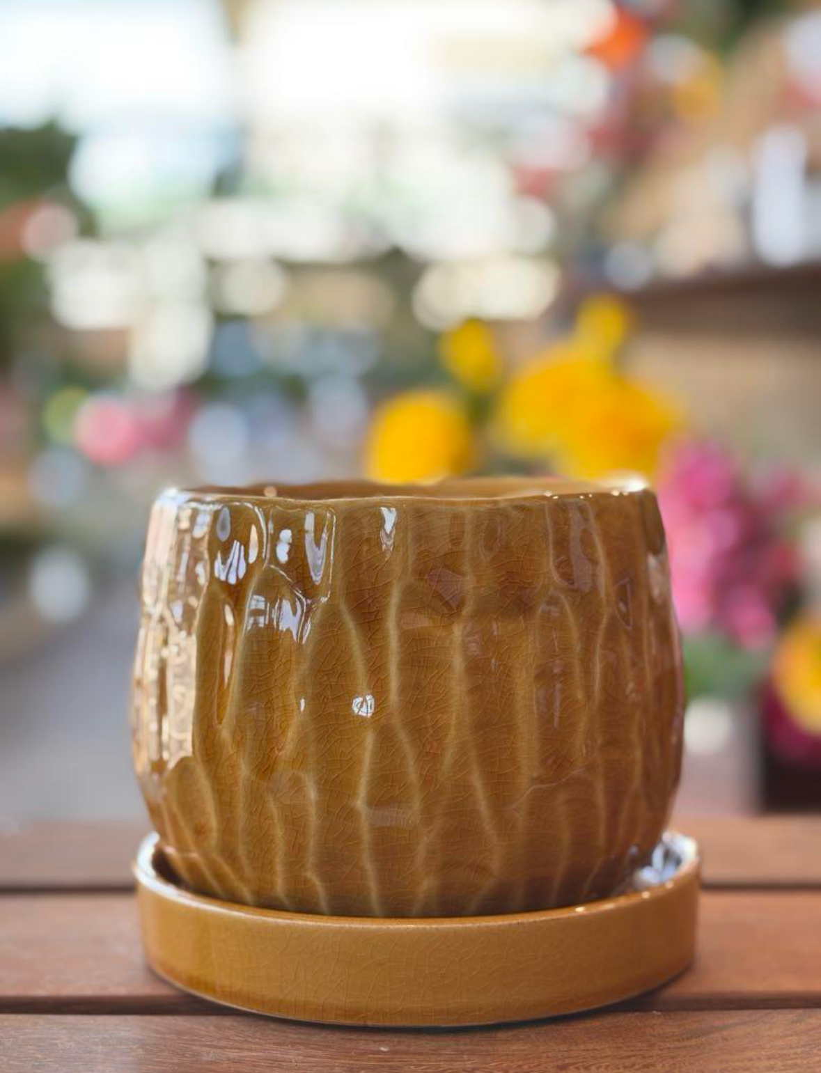 植木鉢 おしゃれ 陶器鉢 多肉植物 観葉植物に