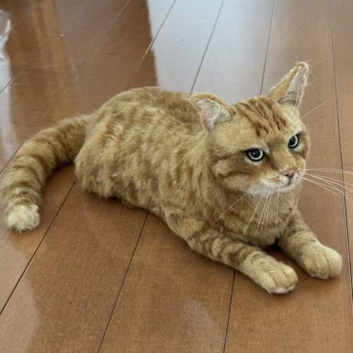羊毛フェルト　オーダー猫　ぽんまる☆プロフ必読☆様ページ 羊毛フェルト 猫 うちの子 オーダー ハンドメイド オーダー