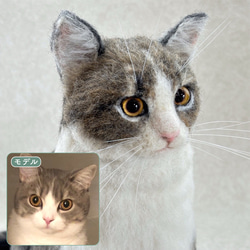 羊毛フェルト【オーダーメイド】うちの子オーダー✴︎ネコ＊ねこ＊猫＊ペット*ハンドメイド✴︎ペットロスペットロス 9枚目の画像