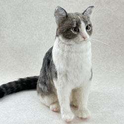 羊毛フェルト【オーダーメイド】うちの子オーダー✴︎ネコ＊ねこ＊猫＊ペット*ハンドメイド✴︎ペットロスペットロス 10枚目の画像