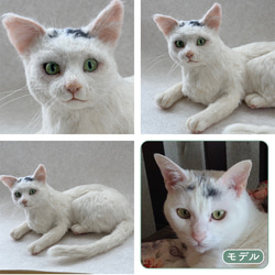 羊毛フェルト【オーダーメイド】うちの子オーダー✴︎ネコ＊ねこ＊猫＊ペット*ハンドメイド✴︎ペットロスペットロス 3枚目の画像