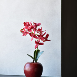 アップル＋オーキッド！？ 赤いりんごと蘭(レッド)　アーティフィシャルフラワー　咲き続けるフラワーインテリア 9枚目の画像