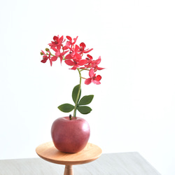 ドライフラワー ❇️グレビレアアイバンホー❣️ ドライフラワー グレビレア アイバンホー 2本セット ドライ