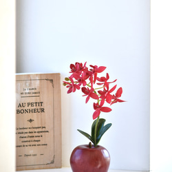 アップル＋オーキッド！？ 赤いりんごと蘭(レッド)　アーティフィシャルフラワー　咲き続けるフラワーインテリア 7枚目の画像