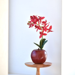 アップル＋オーキッド！？ 赤いりんごと蘭(レッド)　アーティフィシャルフラワー　咲き続けるフラワーインテリア 5枚目の画像