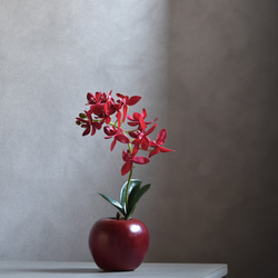 アップル＋オーキッド！？ 赤いりんごと蘭(レッド)　アーティフィシャルフラワー　咲き続けるフラワーインテリア 10枚目の画像