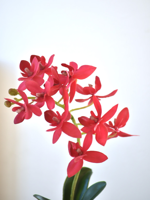 アップル＋オーキッド！？ 赤いりんごと蘭(レッド)　アーティフィシャルフラワー　咲き続けるフラワーインテリア 11枚目の画像