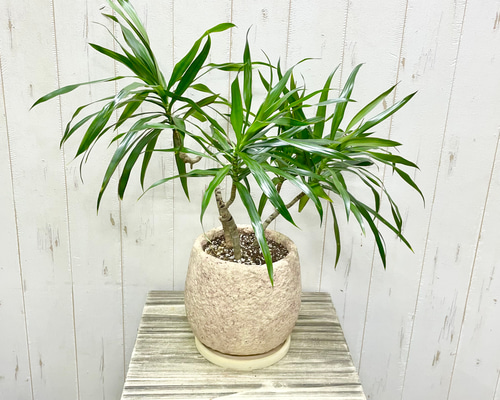 a8bca48d16452a56173178e110a868