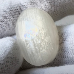 53007b7e44a8871b6ea23e6228388e