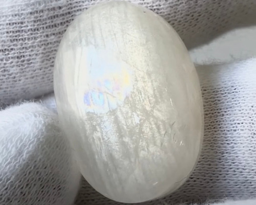 53007b7e44a8871b6ea23e6228388e