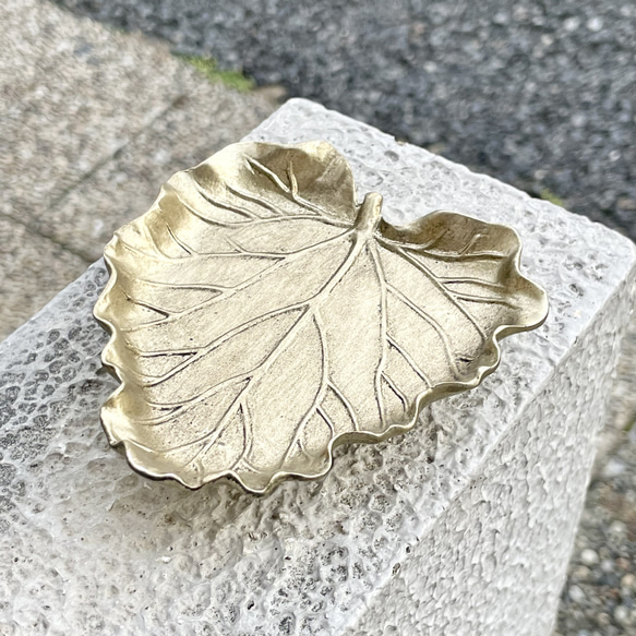  第2張的照片