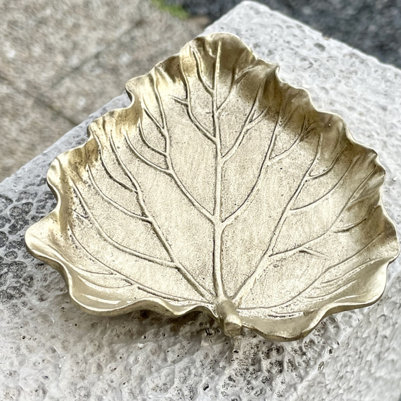  第4張的照片