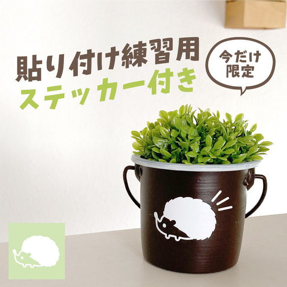  第16張的照片