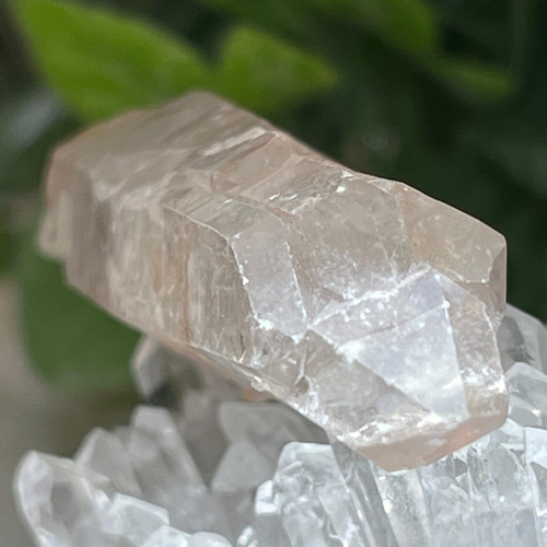 カテドラル　ピンクレムリアンシードクリスタル　観音水晶　原石　ポイント カテドラル ピンクレムリアンシードクリスタル 観音水晶 原石