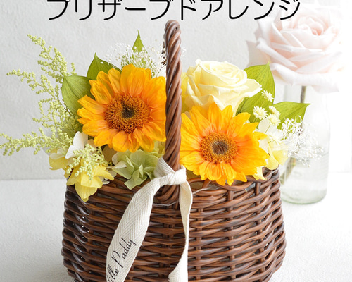 978ef9ffbc41ec1cdee3f6e5acbf96