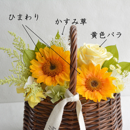 ひまわり様おまとめ ds-kanai-sunflower-bundle2-mix