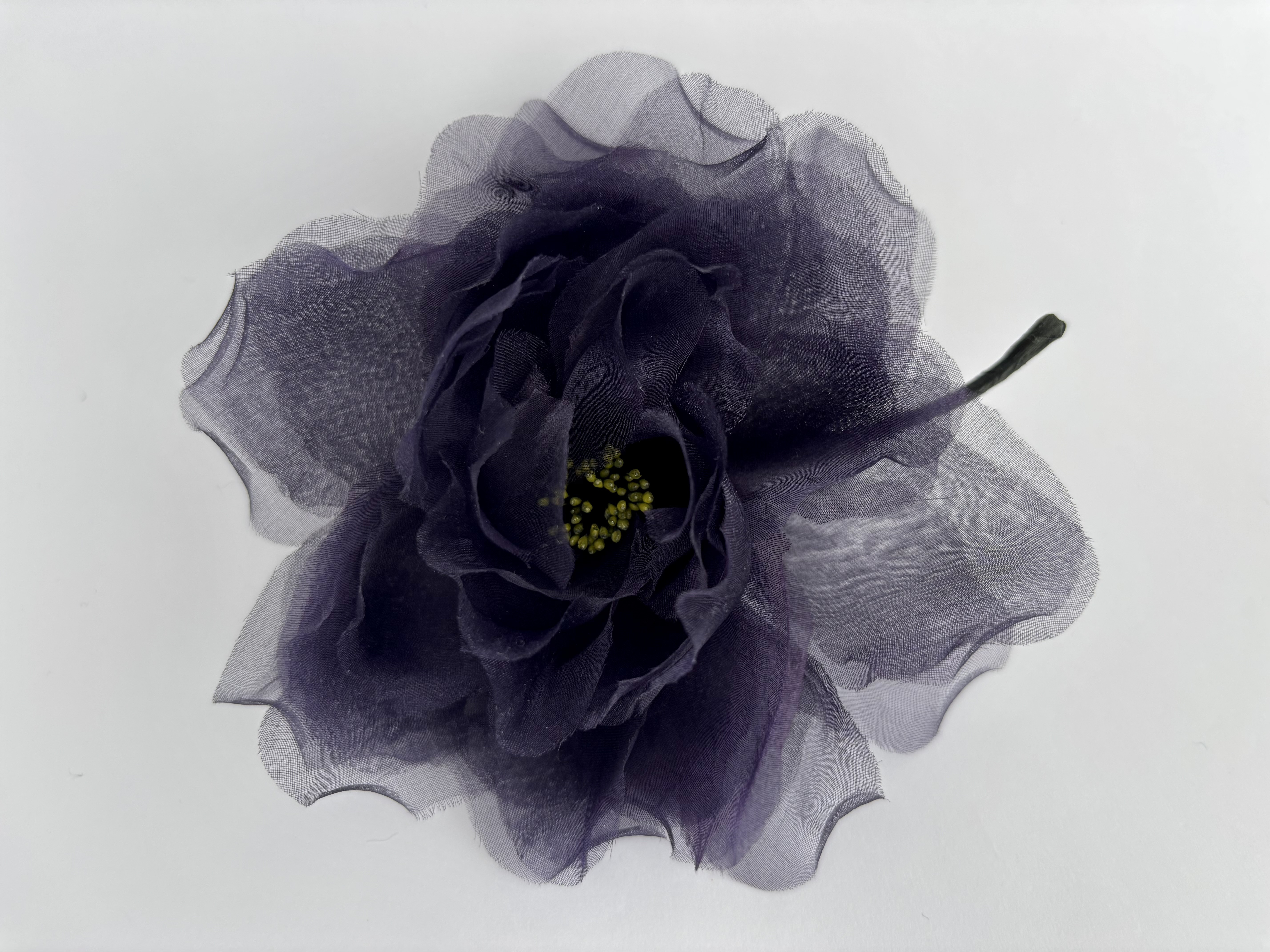 すみれ色の薔薇