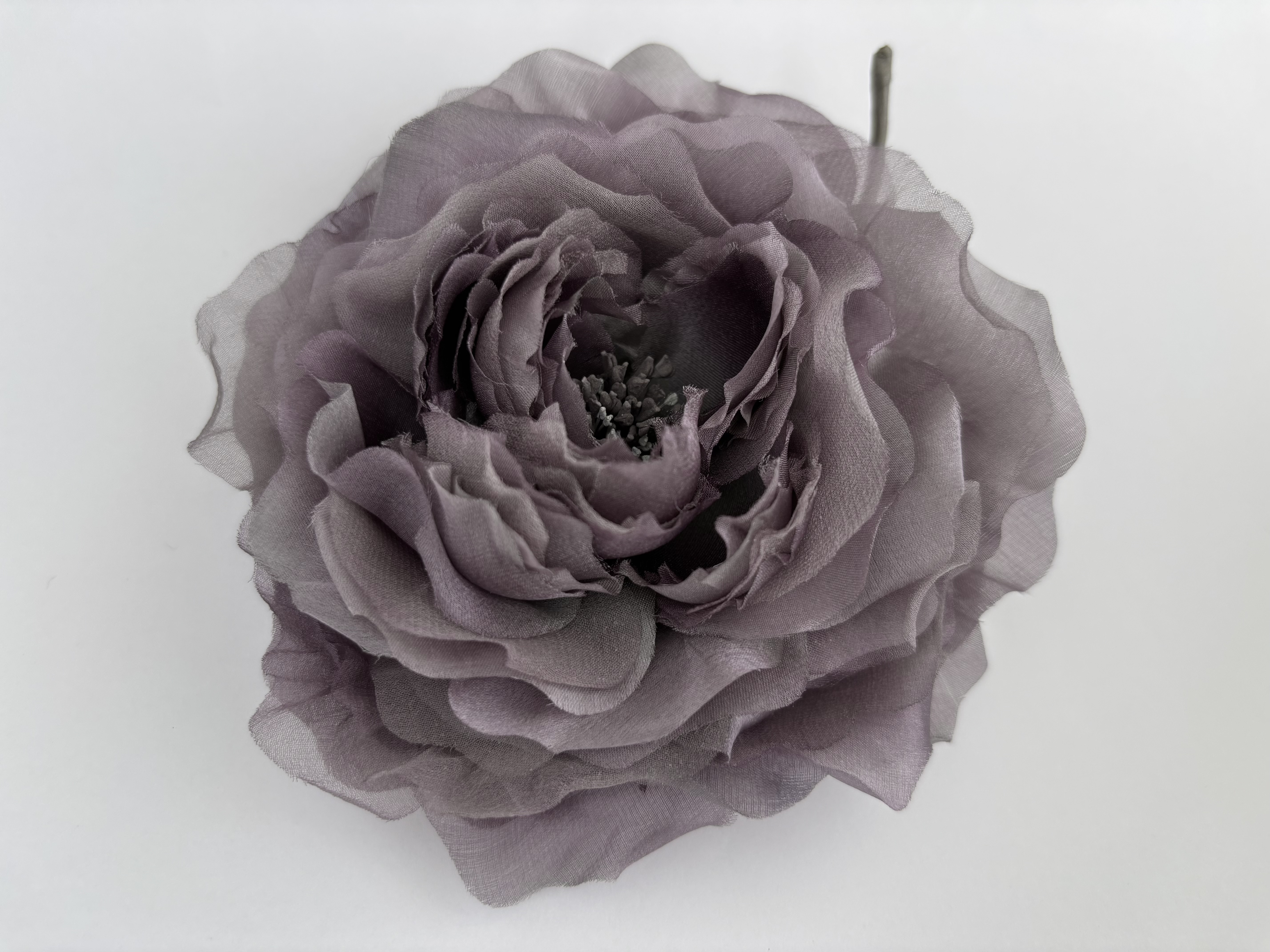 リラ色の薔薇