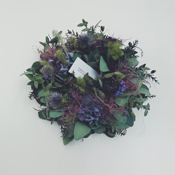 Botanical wreath 6 popolus ユーカリポポラスリース リース Creams