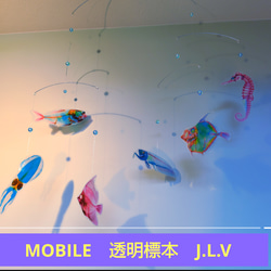 モビール 魚 のおすすめ人気通販 検索結果｜Creema(クリーマ