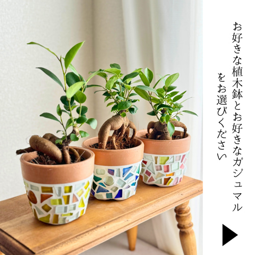 Junichi Fujiwara 樣專用手作植木鉢 LLLLサイズ ) Junichi Fujiwara 樣